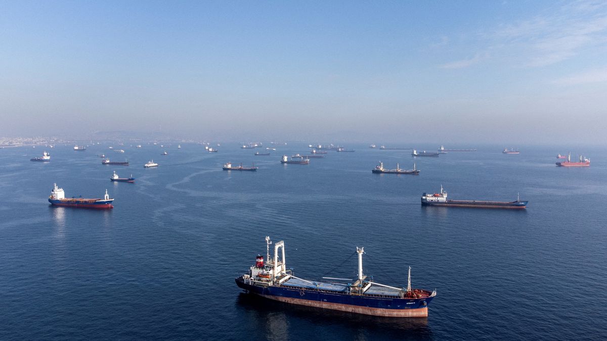 Rusko tvrdí, že má od Ukrajiny záruky k lodím s obilím. Žádné jsme nedali, odpověděl Kyjev